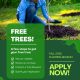 image of 1 person, tree and text that says 'FREE TREES! A few steps to get your free tree: Visit our website FALL 2025 PLANTING SEASON Review our process Contact a Tree Steward Submit your Application APPLY NOW! Applications close June 23, 2025'