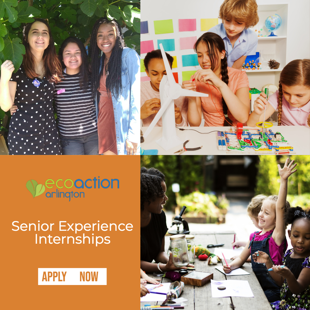 Senior Experience Internships