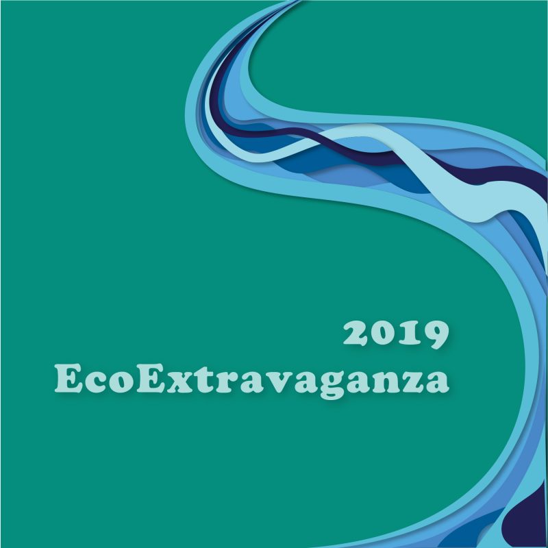 Cyan colored background with a blue wave boing up the right side from bottom to top and text that reads: 2019 EcoExtravaganza