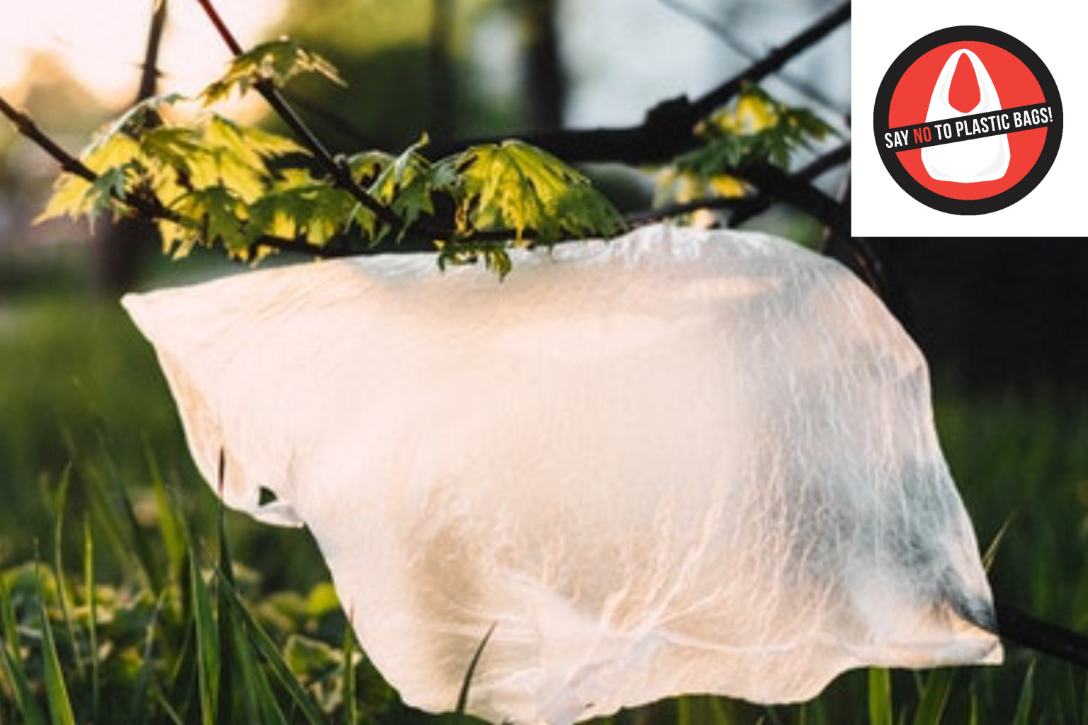 Arlington’s Plastic Bag Tax Movement Continues Despite COVIDCrisis