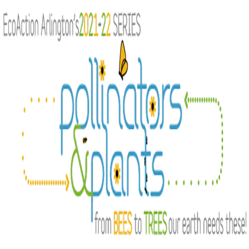 EcoAction Arlington's 2021-22 series pollinators & pants from bees to trees our earth needs these banner stylized with blue, green and orange colors with graphics of daisies and butterflies