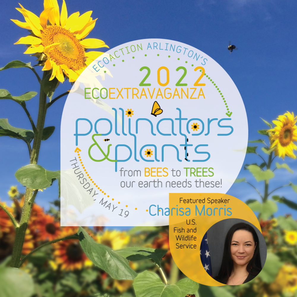 2022 EcoExtravaganza