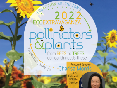 2022 EcoExtravaganza pollinators & plants promo graphic with sunflowers and two text box in teardrops with photo of featured speaker Charissa Martin