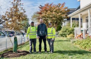 Tree contractors in yellow safety shirts with a smiling tree recipient between them, standing to the right of a newly planted tree in a treehugger watering bag