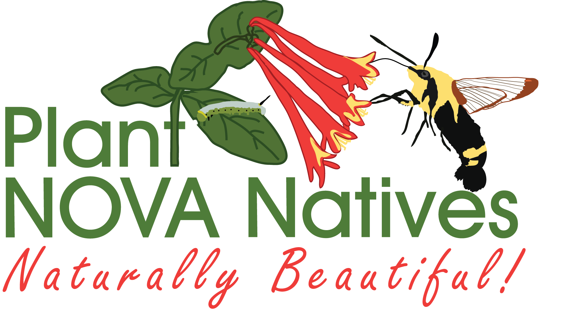 Plant (in green letters with a plant growing out of the "t" with three green leaves and red flowers with a pollinator on the flower) Nova Natives Naturally Beautiful