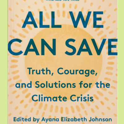 image book cover All We can Save