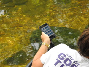 volunteer leaning into stream to pick up litter holding a smartphone