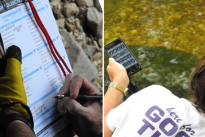 2 images side by side left image shows a hand holding a pen filling out a tally sheet on a clip board, the second image on the right shows a person leaning down in a stream holding a smartphone in their hand with the CleanSwell app