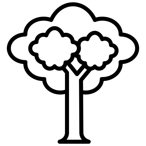 line drawing of a tree with large canopy