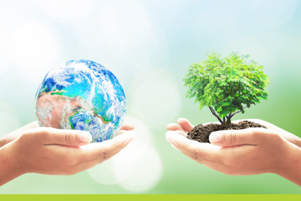 image with one hand holding a globe and another hand holding a tree.
