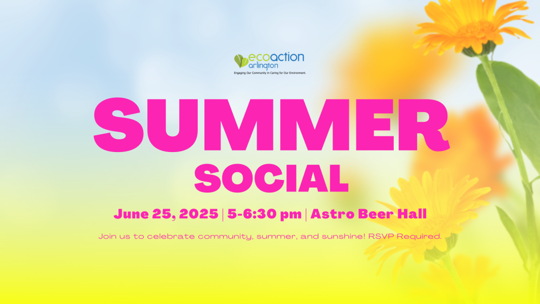 Summer social promotional graphic with ecoaction arlington logo and background colors of yellow and blue with orange flowers