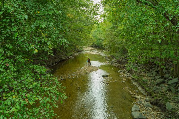 photo of Four Mile Run from Barcroft area with volunteer picking up trash in center