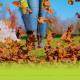 banner image of leaves blown by electric leaf blower