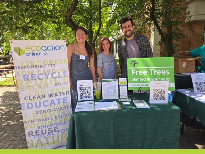 photo of EcoAction Arlington staff and volunteers tabling at an event with informational giveaways, signs and handouts on a table with green tablecloth and a branded EcoAction Arlington flag to the left of the table.