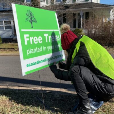 a woman in a yellow vest and red winter cap with a pompom on top is placing a green sign reading free trees in the ground