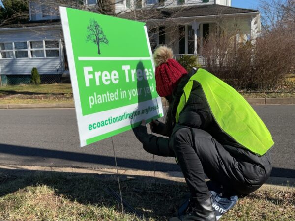 a woman in a yellow vest and red winter cap with a pompom on top is placing a green sign reading free trees in the ground