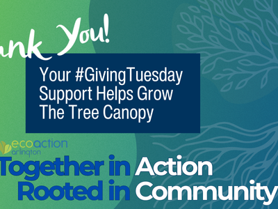 Thank you! Your #GivingTuesday Support Helps Grow the Tree Canopy. EcoAction Arlington Together in Action, Rooted in Community