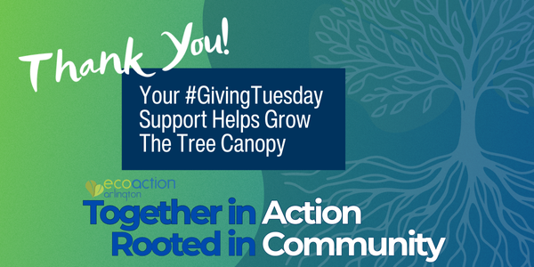 Thank you! Your #GivingTuesday Support Helps Grow the Tree Canopy. EcoAction Arlington Together in Action, Rooted in Community