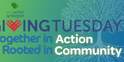 banner with green/blue gradient background with outine of a full canopy tree with roots, ecoaction arlington logo and Title: Together In Action, Rooted in Community