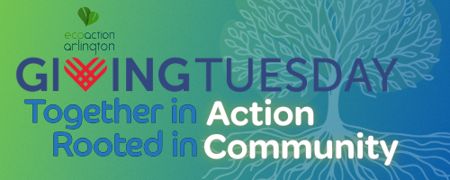 banner with green/blue gradient background with outine of a full canopy tree with roots, ecoaction arlington logo and Title: Together In Action, Rooted in Community