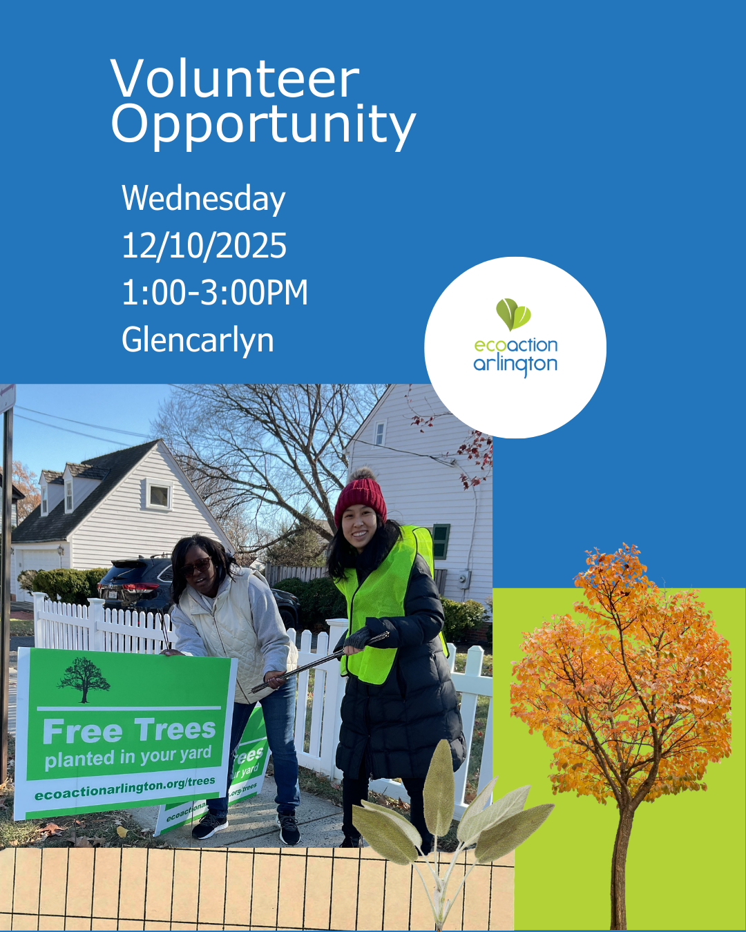 two women in winter coats placing Free Trees sign in street. Volunteer Opportunity, Wednesday 12/10/2025, 1:00-3:00PM , Gencarlyn. ecoaction arlington logo. image of a tree with autumnal leaves.