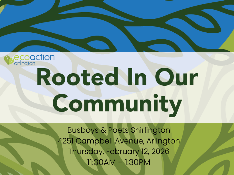 Rooted In Our Community graphic with blue and green background of abstract tree branches