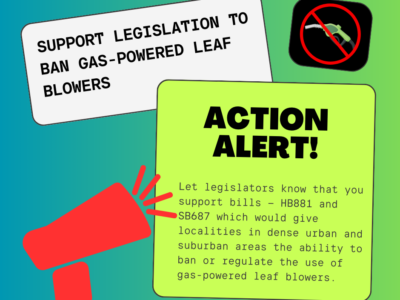 graphic with bright green background with icon of red megaphone and a gas nuzzle with a slash. Text reads: Support legislation to ban gas-powered leaf blowers. Action Alert! : let legislators know that you support bills — HB881 and SB687 which would give localities in dense urban and suburban areas the ability to ban or regulate the use of gas-powered leaf blowers.