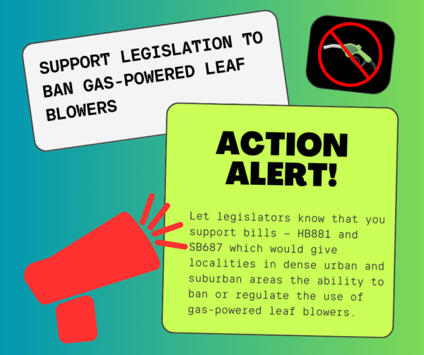 graphic with bright green background with icon of red megaphone and a gas nuzzle with a slash. Text reads: Support legislation to ban gas-powered leaf blowers. Action Alert! : let legislators know that you support bills — HB881 and SB687 which would give localities in dense urban and suburban areas the ability to ban or regulate the use of gas-powered leaf blowers.