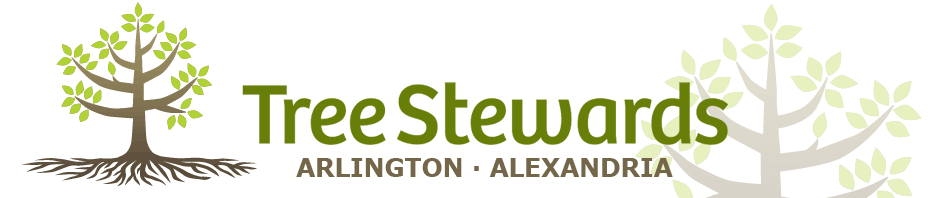 horizontal Tree Stewards Arlington and Alexandria with a line graphic of a tree with brown trunk, roots, and green leaves on branches