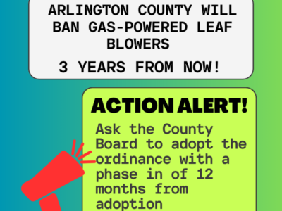 Action Alert featured image with green gradient background and small graphic of a red megaphone announcing an action alert to ask the county board to adopt the ordinance with a phase in of 12 months from adoption.