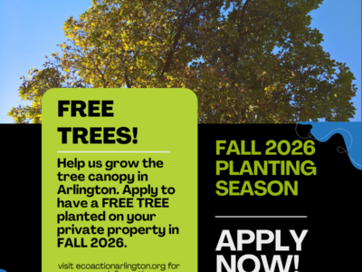 A photo of a tall tree announcing applications are open for the Fall 2026 planting cycle through July 15, 2026