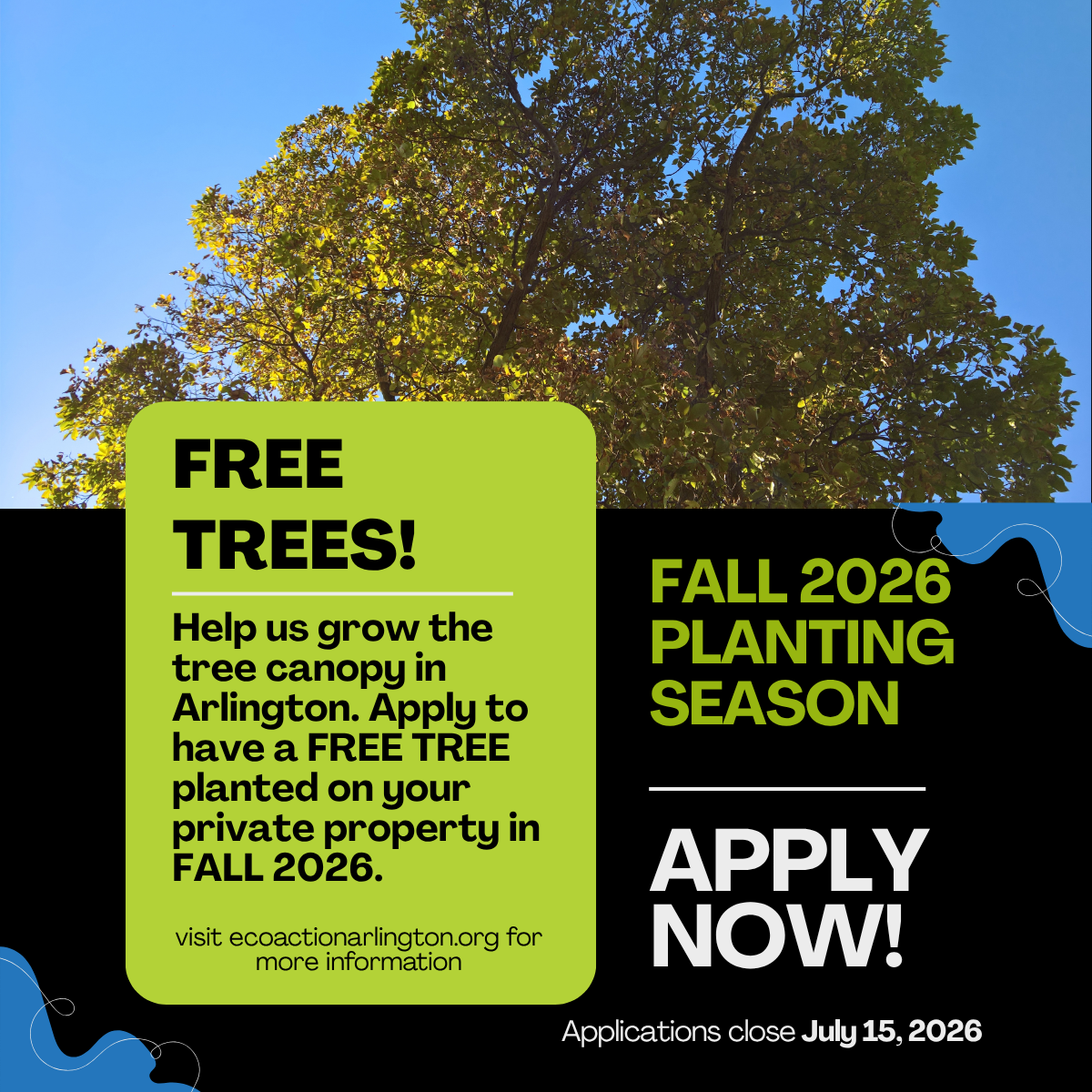 A photo of a tall tree announcing applications are open for the Fall 2026 planting cycle through July 15, 2026