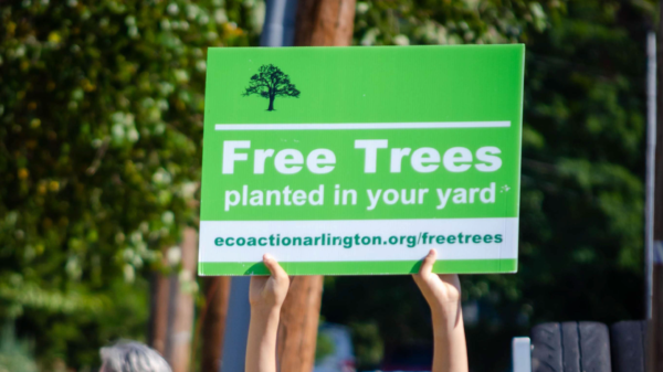 Hands holding up green sign reading Free Trees planted in your yard, ecoactionarlington.org/freetrees with dark green tree canopy in the background