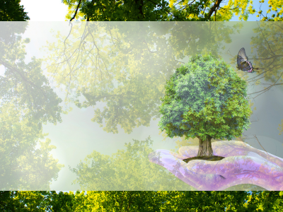 A small green tree growing from a purple hand-shaped platform, with a butterfly hovering nearby against a soft green, background