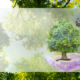A small green tree growing from a purple hand-shaped platform, with a butterfly hovering nearby against a soft green, background