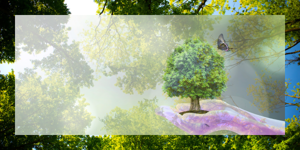 A small green tree growing from a purple hand-shaped platform, with a butterfly hovering nearby against a soft green, background